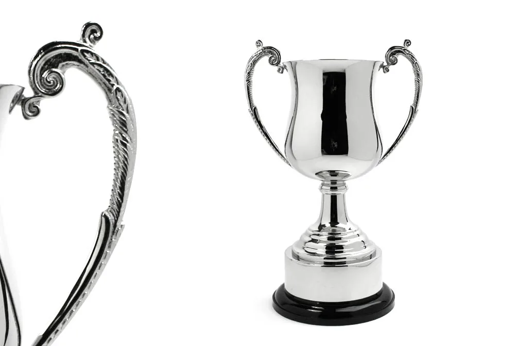 Silver Metal Trophy Cup Black Plastic Base Trophy Cup Award