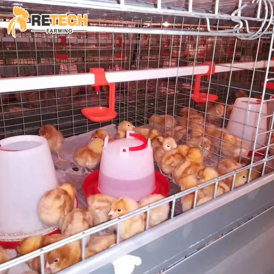 Poultry Farm Equipment Hot Dipped Galvanized a Type 3 Tiers Pullet Layer Rearing Chicks Chicken Cage for Sale