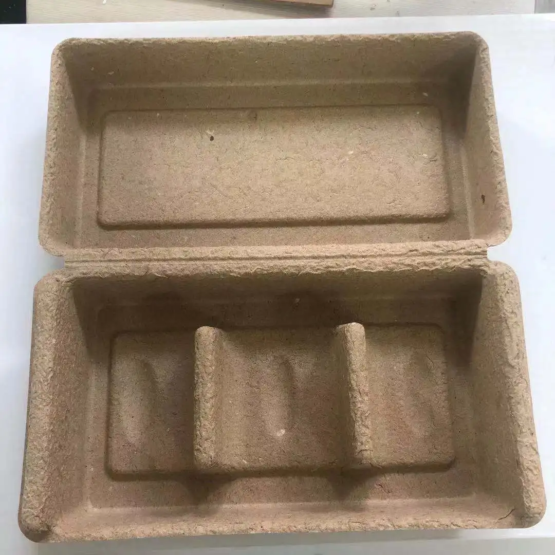 China Factory Free Design bio degradable cosmetic packaging box pulp molded gift box