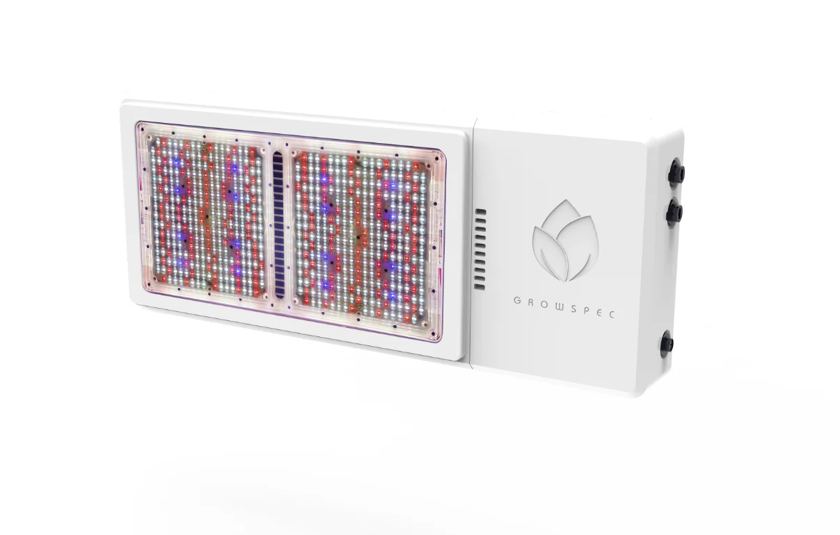 New 800W High performance LED Grow Light for vertical farming