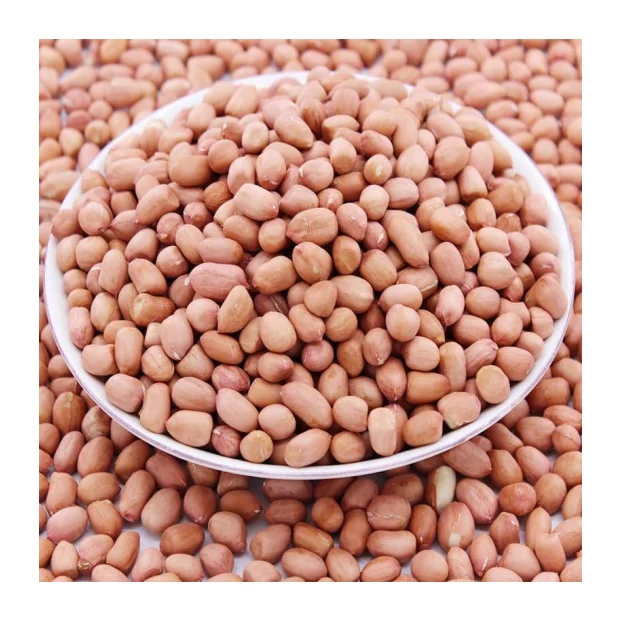Покупатели для оптовой продажи арахис Jumbo Raw высококачественные натуральные толстые забеленные арахисовые ядра