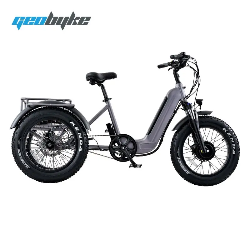 Family Use Electric Tricycle 500w 20 Inch Fat Tire Three Wheel Electric Cargo Trike For Sale