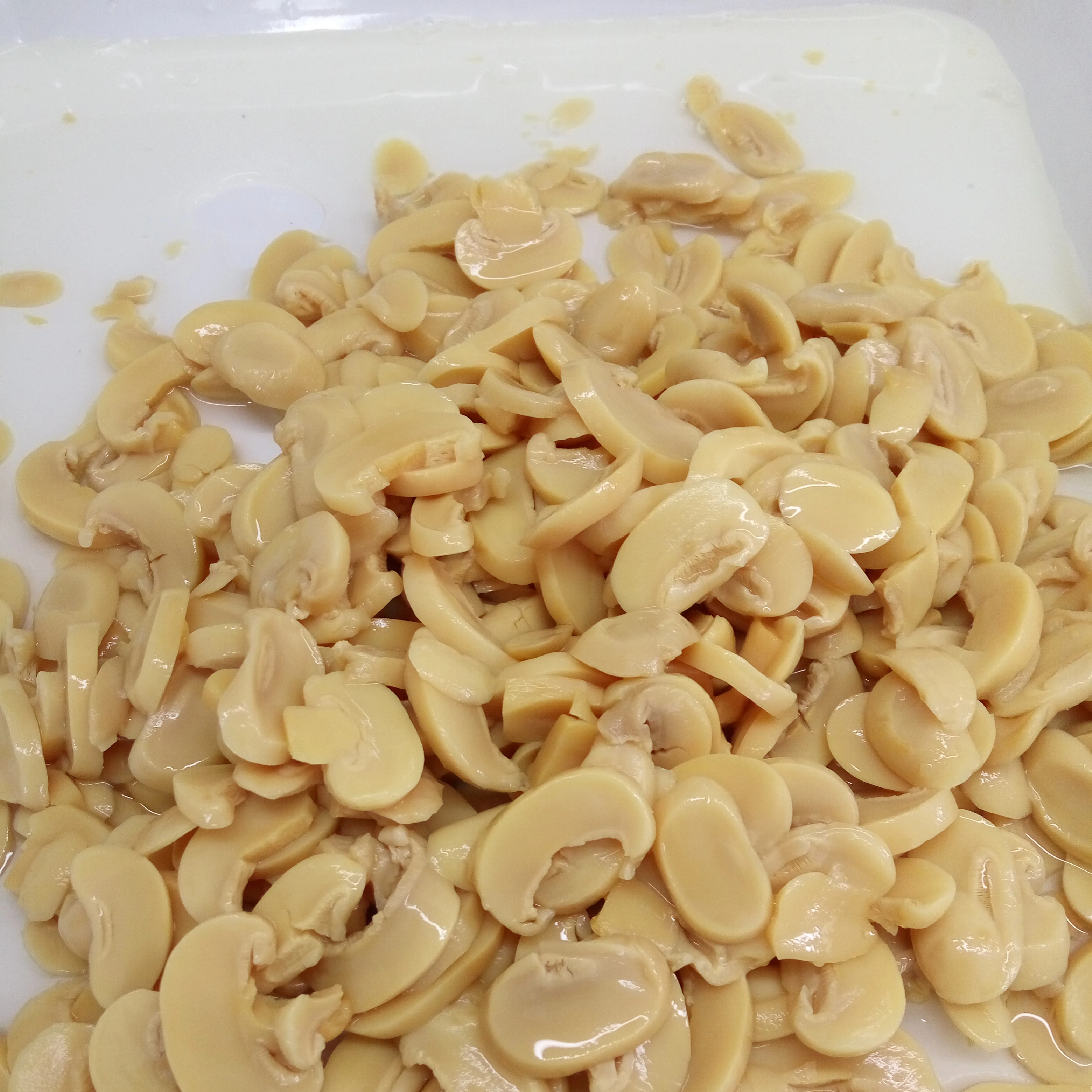 
High quality canned food canned mushroom for wholesale 