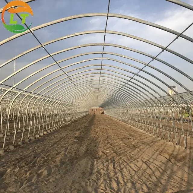 Galvanized single span greenhouse membrane vegetable greenhouse Tomato greenhouse