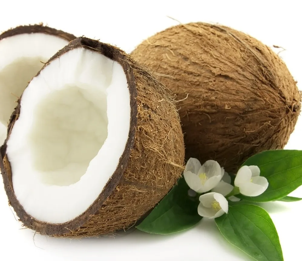 High quality fruit dry coconut fully husked dry coconut matured coconut fruit for sale with good price from Vietnam supplier