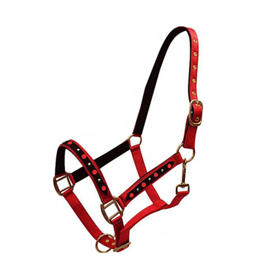 Equestrian Equipment Webbing Rainbow Horse Halter with hardware