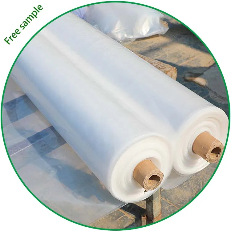 Transparent Clear Plastic 150 micron 6 mil Thick Polythene Roll / Polyethylene Greenhouse Film