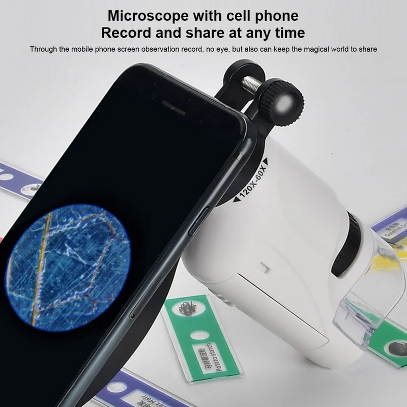 Mini Pocket microscope Kit 60-120x Lab Handheld microscope Battery Powered microscopes  With LED Light Kids Science tool