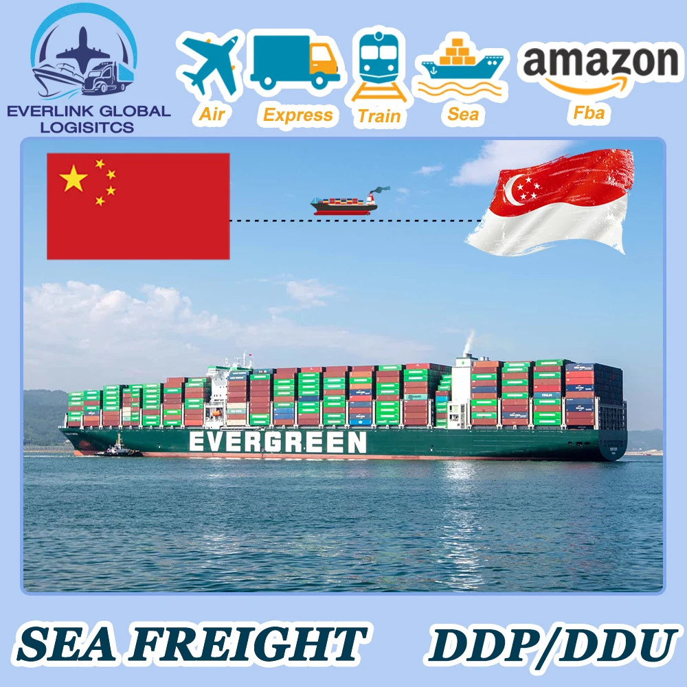 Best FCL LCL sea freight forwarder container shipping rates from China to Philippine Singapore by sea shipping