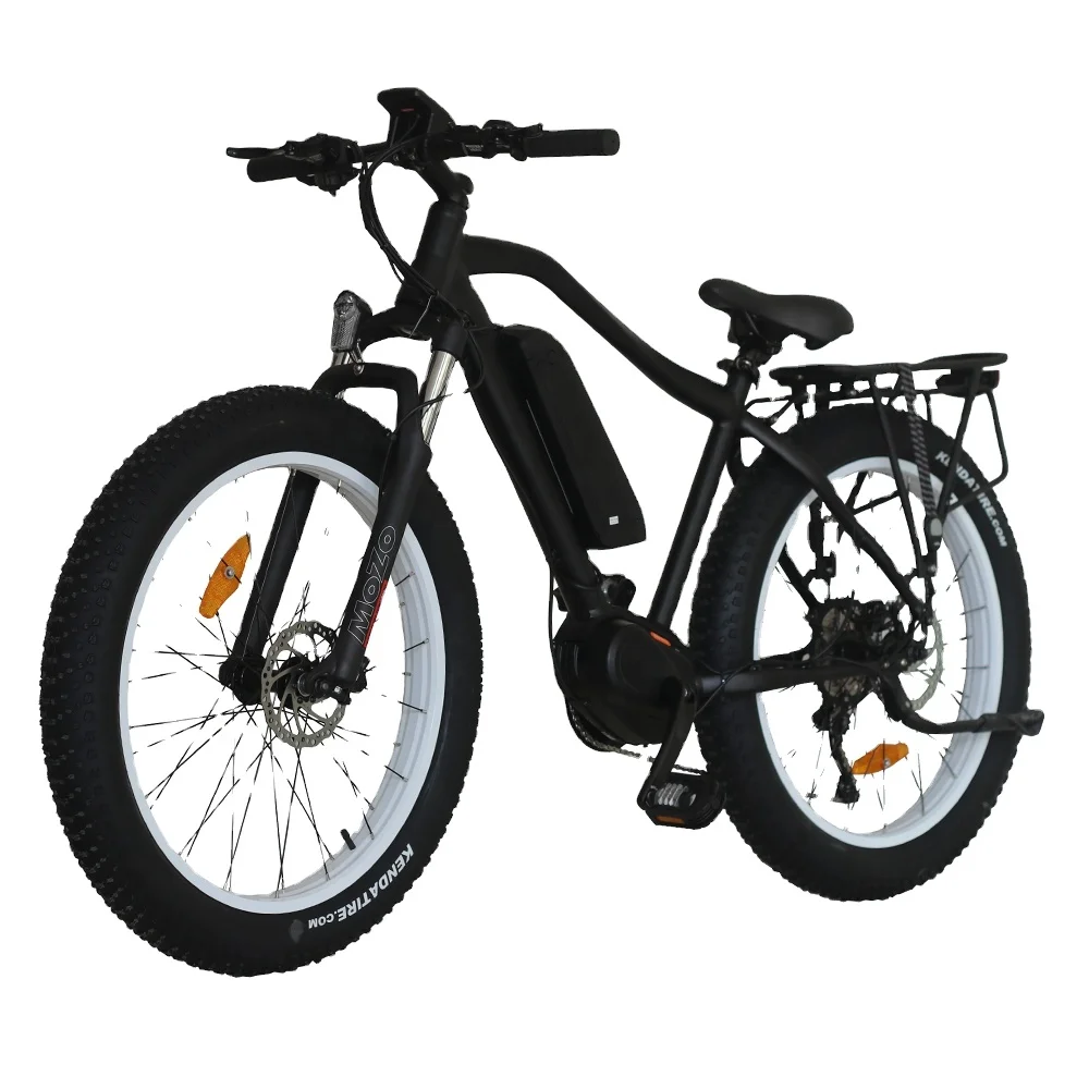 electric bike/electric mountain bike 250w/350w/500w/1000w electric bicycle type PARADIN