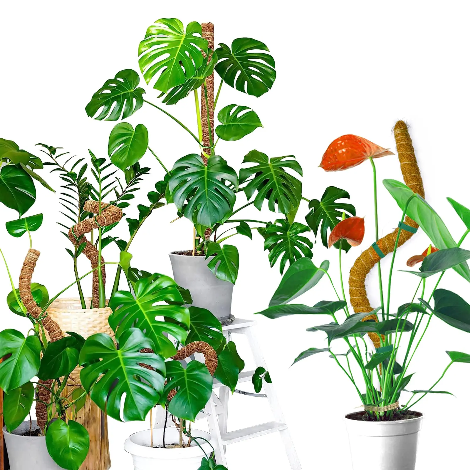 Bendable Moss Pole Monstera Plant Stakes for Indoor Plants Monstera Pole for Climbing Plants to Grow Upwards