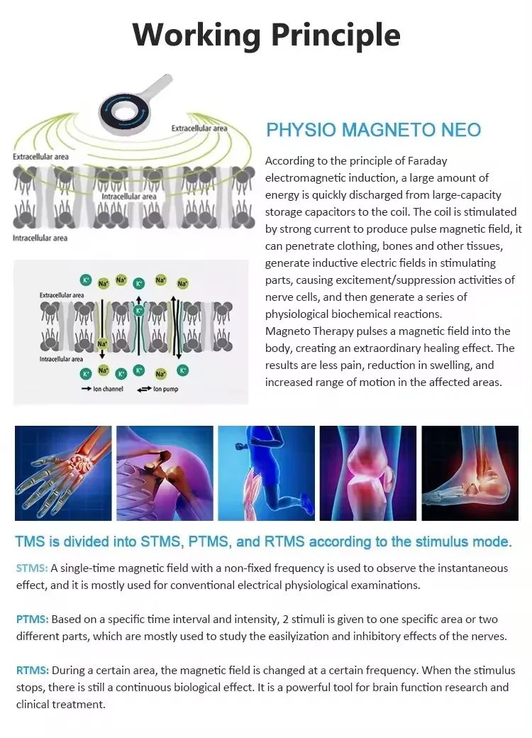 6 T Hot selling  Two handles  PMST  physical therapy machine magnetic therapy PEMF  therapy for joint pain relief