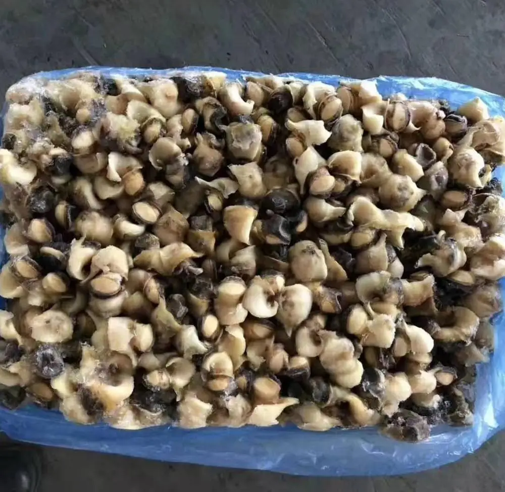Заводская замороженная ракушка мяса