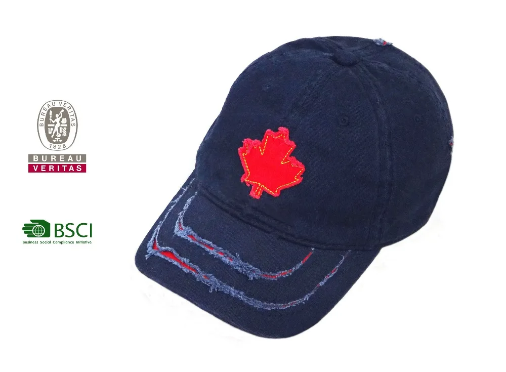 Custom Logo Embroidery Printing Pure Cotton Baseball Cap Outdoor Visor Hat with Beautiful Design