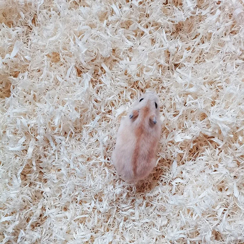 Best selling high-quality waterproof and deodorant 100% wood shavings pet pad for chinchillas, hamsters and rabbit nests