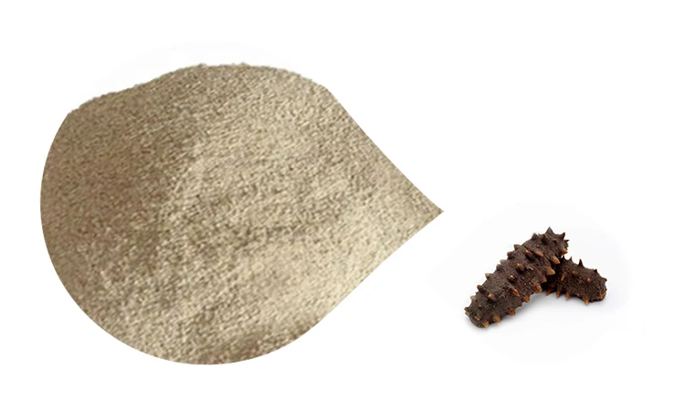 Sea Cucumber Powder 3