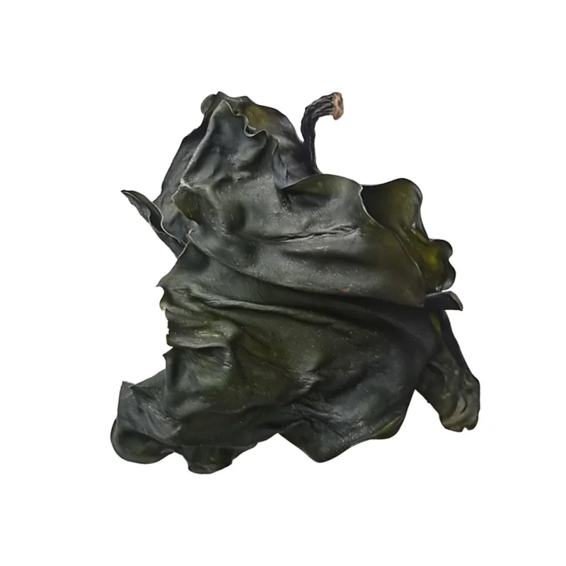 Китайские морепродукты Сушеных Водорослей kuki wakame hiyashi wakame ensalada alga wakame