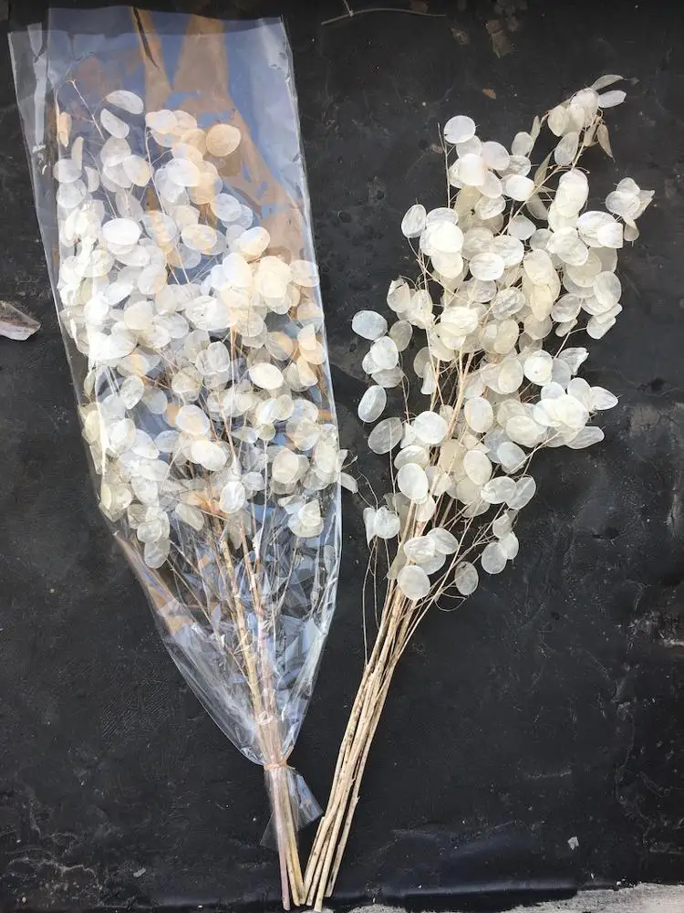 Yunnna Cheap Real Wedding Dried Flower Bouquet Dried  globe amaranth Flower Gomphrena Globosa