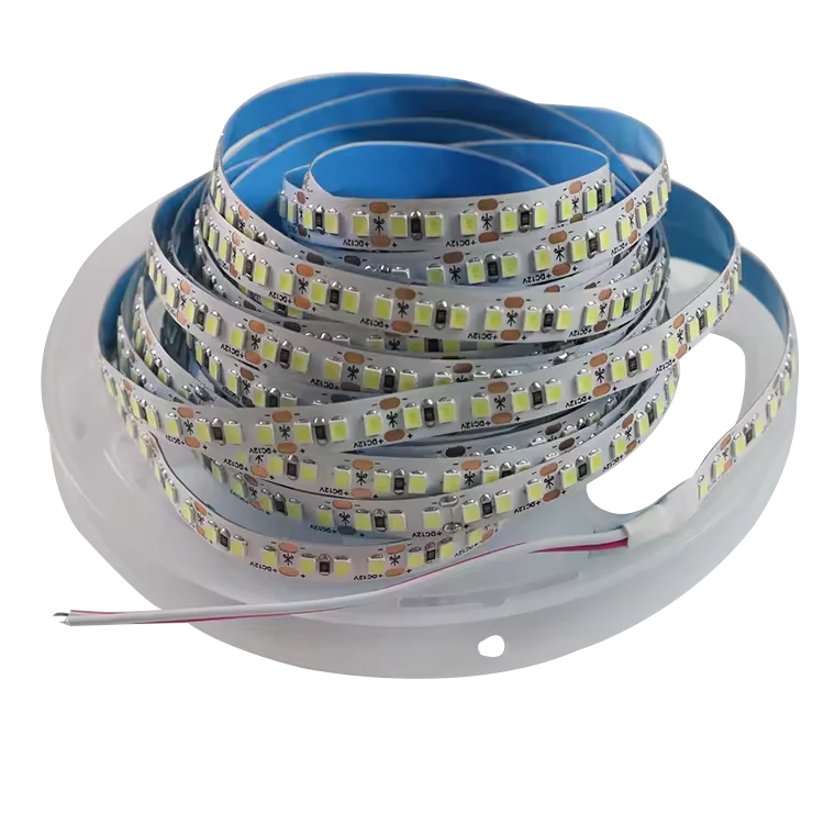 Wholesale 3000/4000/6000k led strip light 5M/Roll 8mm 10mm width light strip 120/180/240leds 12V 24v smd 2835 led strip light