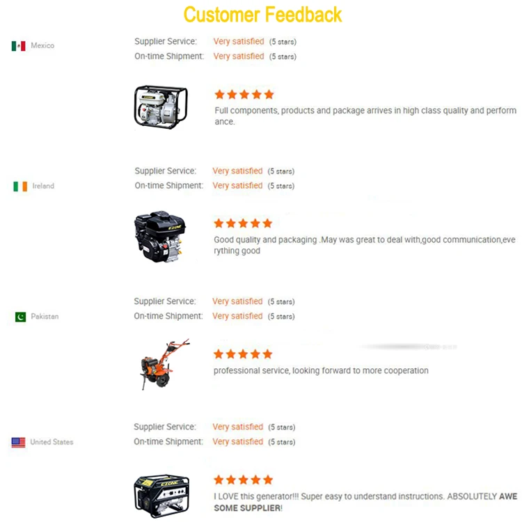 Small 220V 12 Volt 12V 8.3A Dc Output Portable Gas Gasoline Petrol Power Generator