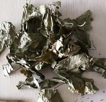 100% Органическая сухая актинидия полигама мататаби серебристые листья корм для взрослых домашних животных в упаковке кошек