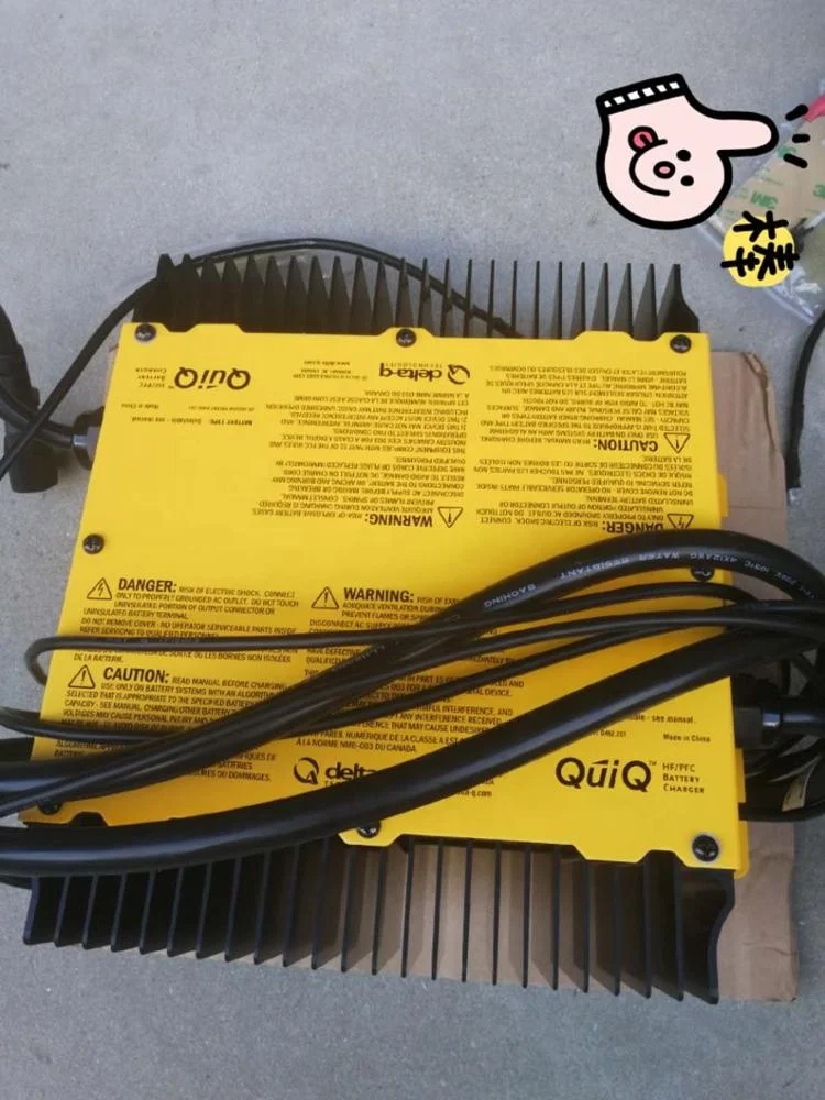  Зарядное устройство для гольфа Delta Q 912-4854-04 48