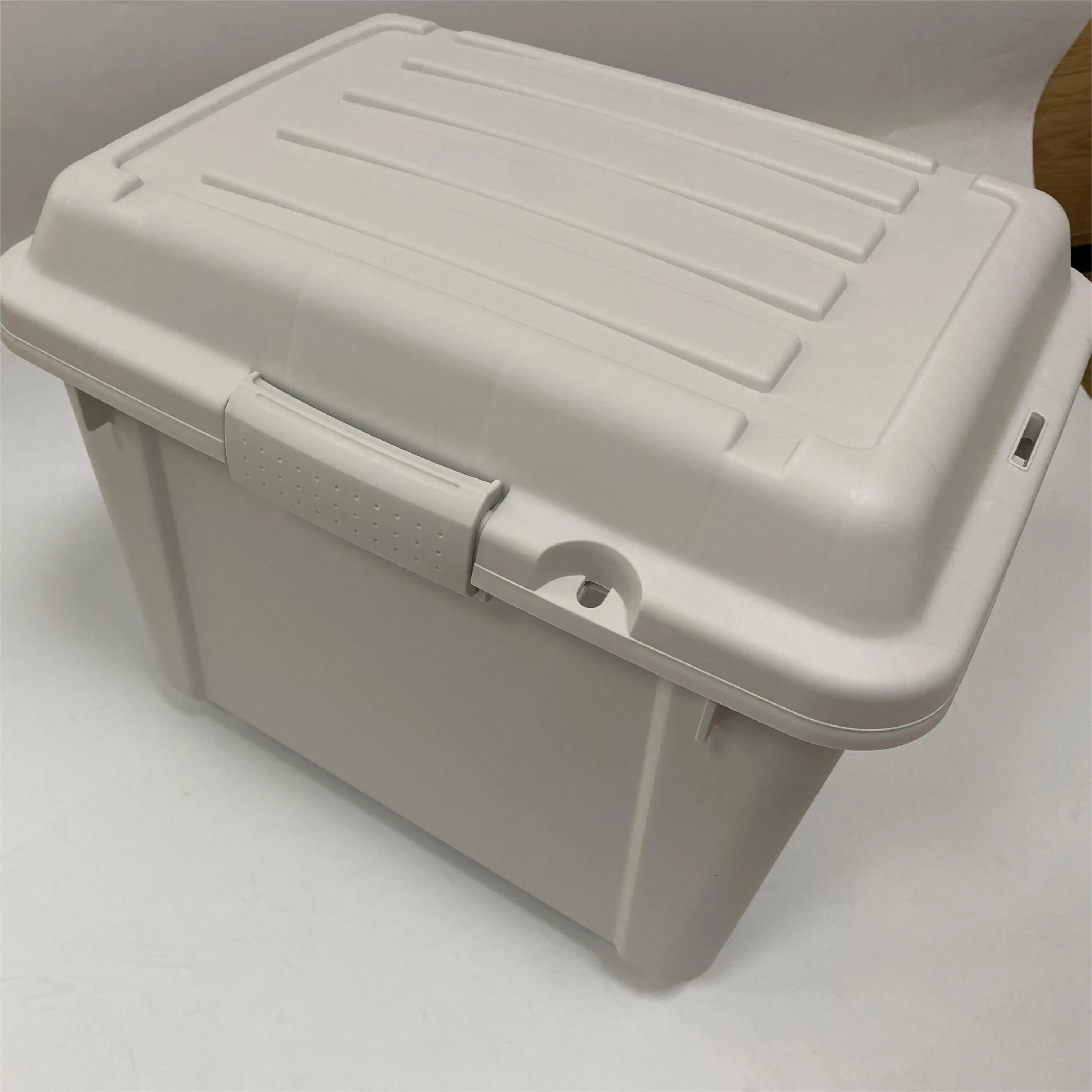 Small Car Trunk Box With Lock New Plastic Storage Box Trunk Organizer Japan, Korea and Australia Hot Sell