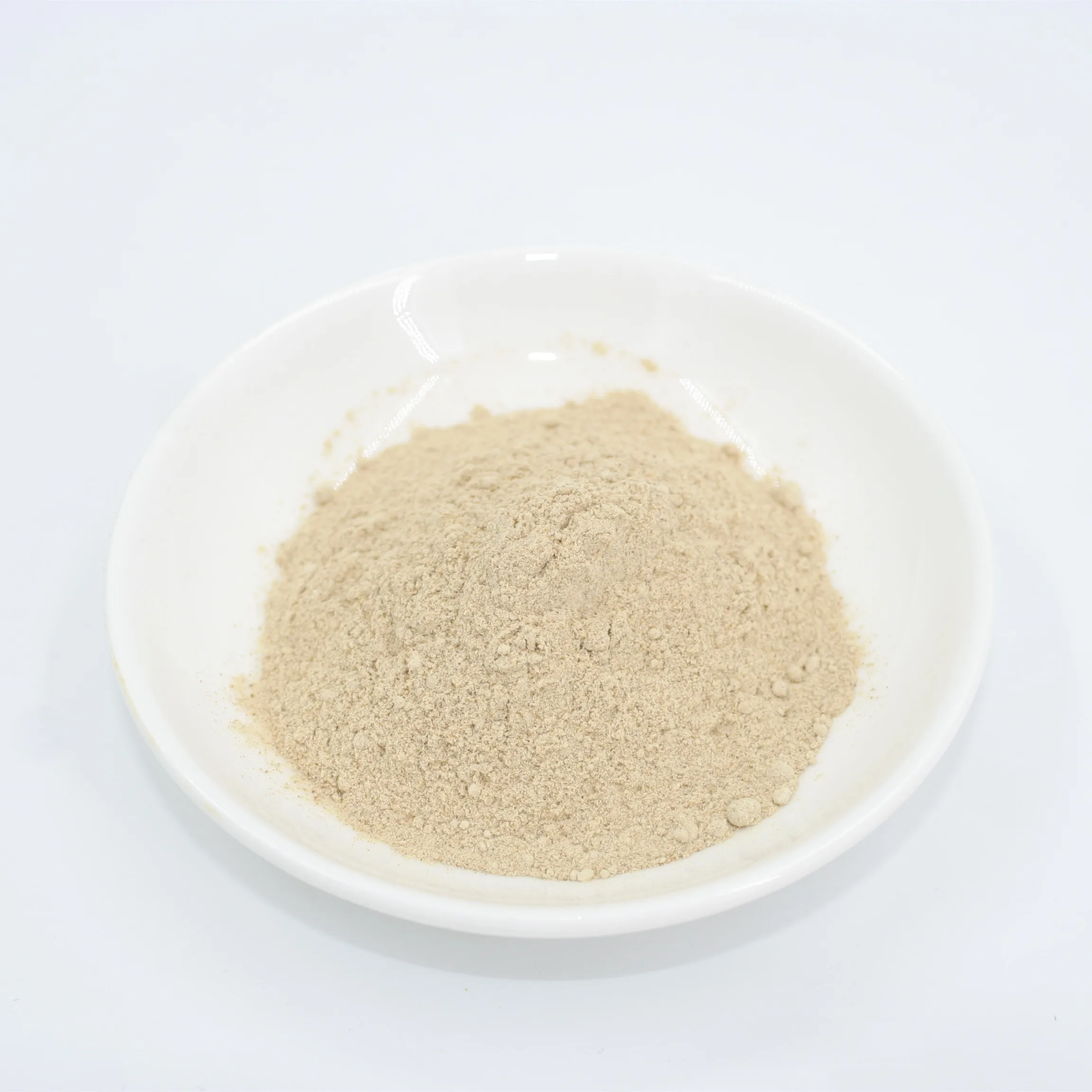 China Supply Fungal Alpha Amylase CAS 9013-1-8 Fungal Amylase Powder