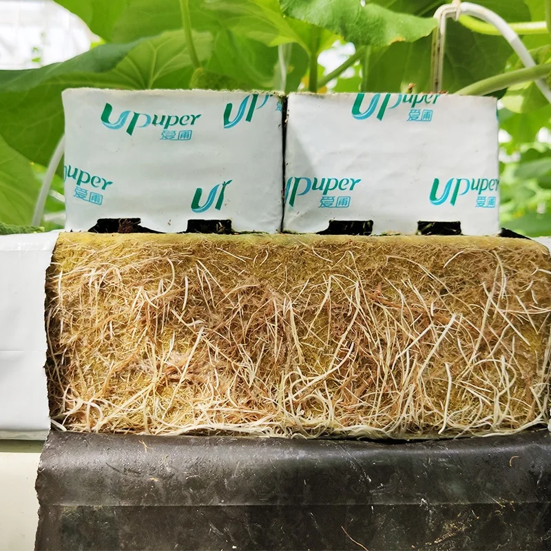 UPuper 40x8x3 inch Agriculture Tomato Cultivation Greenhouse Indoor Hydroponic Grow Systems Rock Wool Grow Slabs