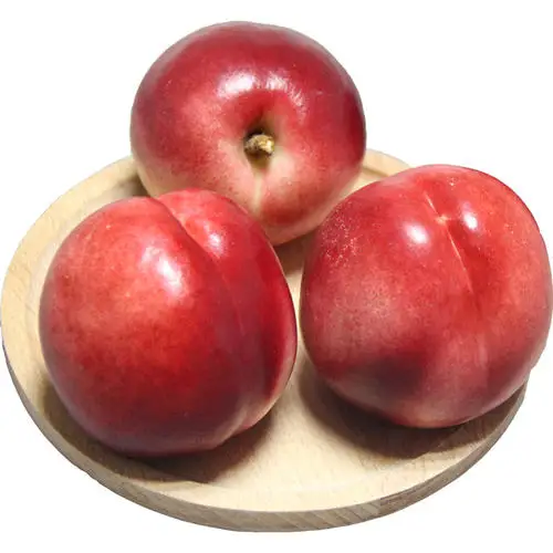 Hot sale 100% natural fresh stone fruit class A red Australian fresh nectarine