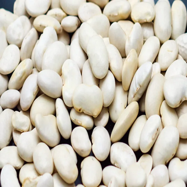 
large Yunnan 2020 crop dried white kidney beans 