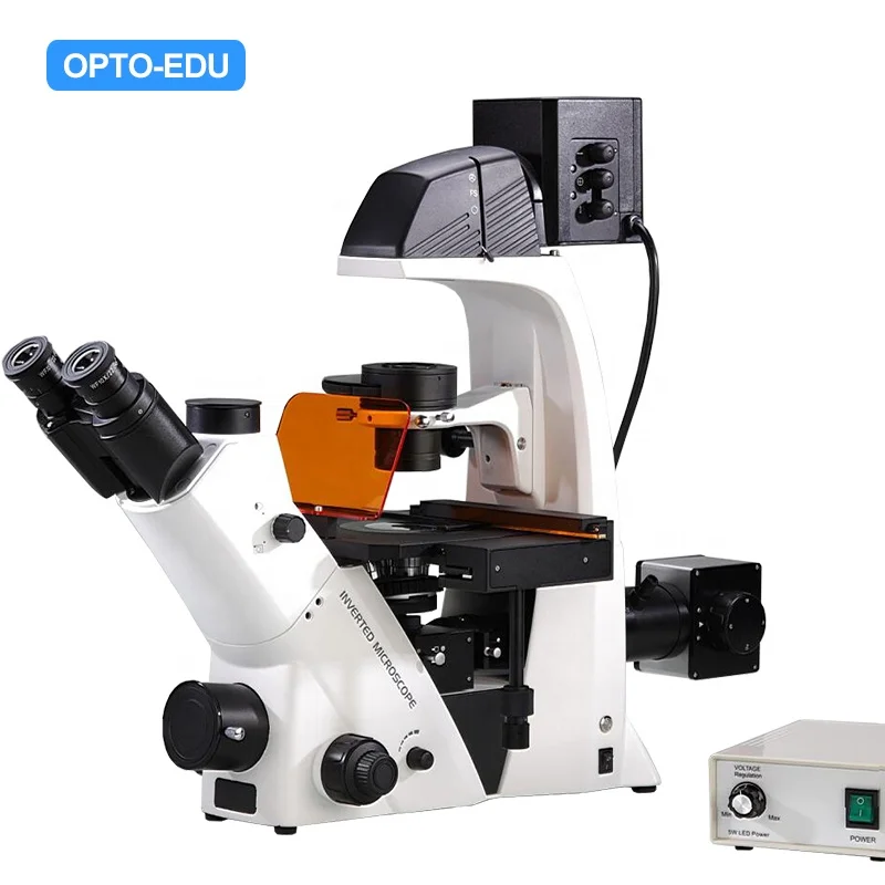 OPTO-EDU A16.2615-L4 Microscopio BGUV fluorescencia inverted Microscope