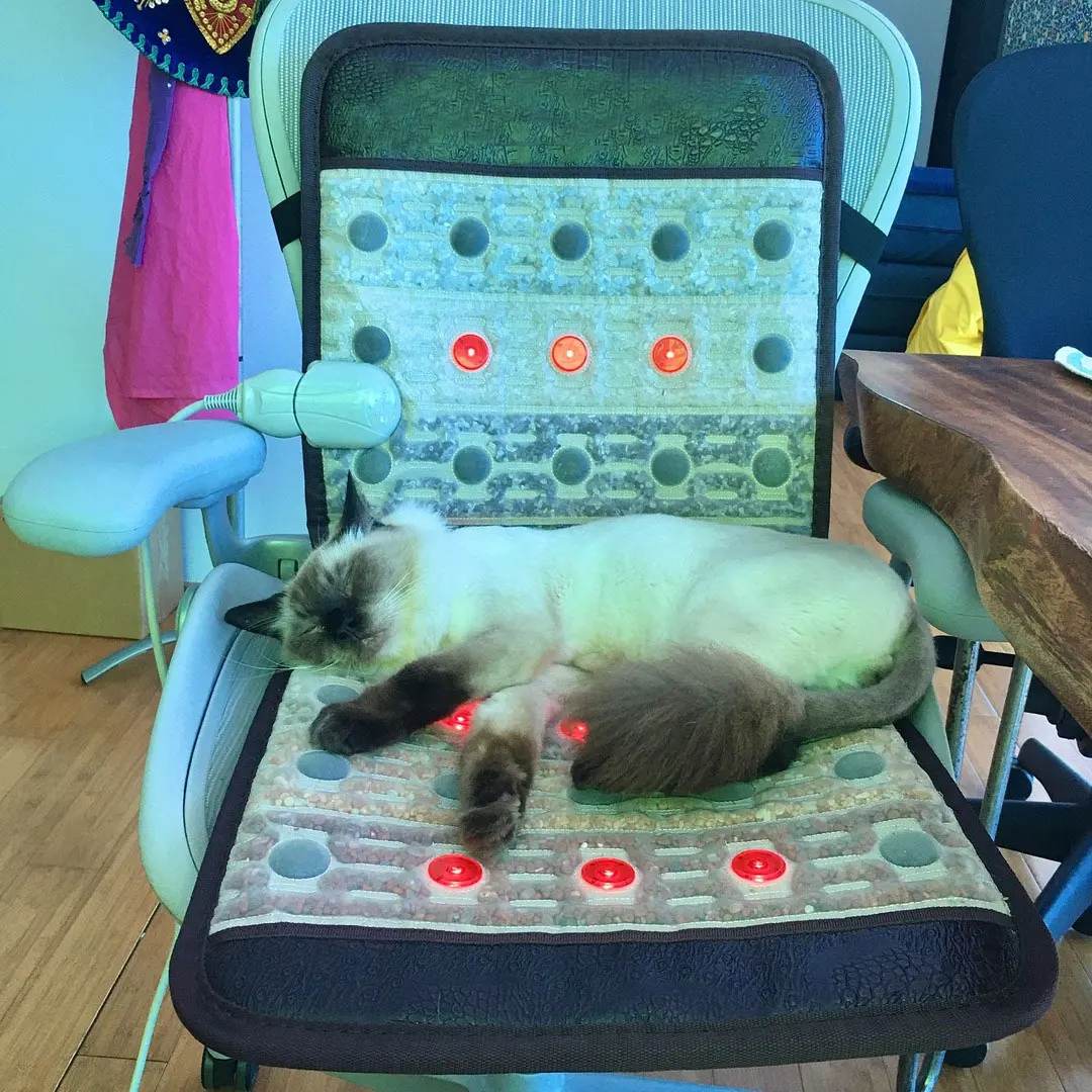 Photon Therapy Electric Massage Matte With Heating Pad For Increase Blood Circulation Lumbar Relaxing Cushin