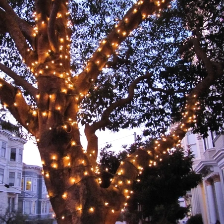 High quality garden and outdoor use LED flame effect light bulb string, led rice fairy Christmas tree decor lights