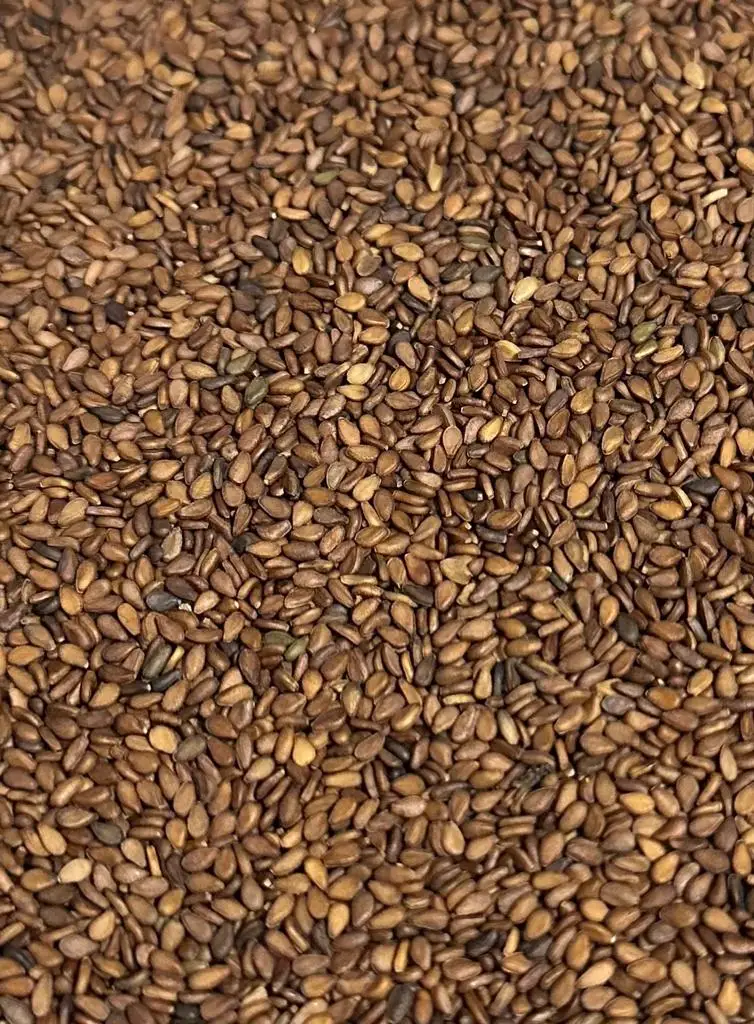 Natural Organic 100% Pure High Quality Wholesale Price Manufacturer Factory Price Origin Brown Sesame seeds From Bangladesh