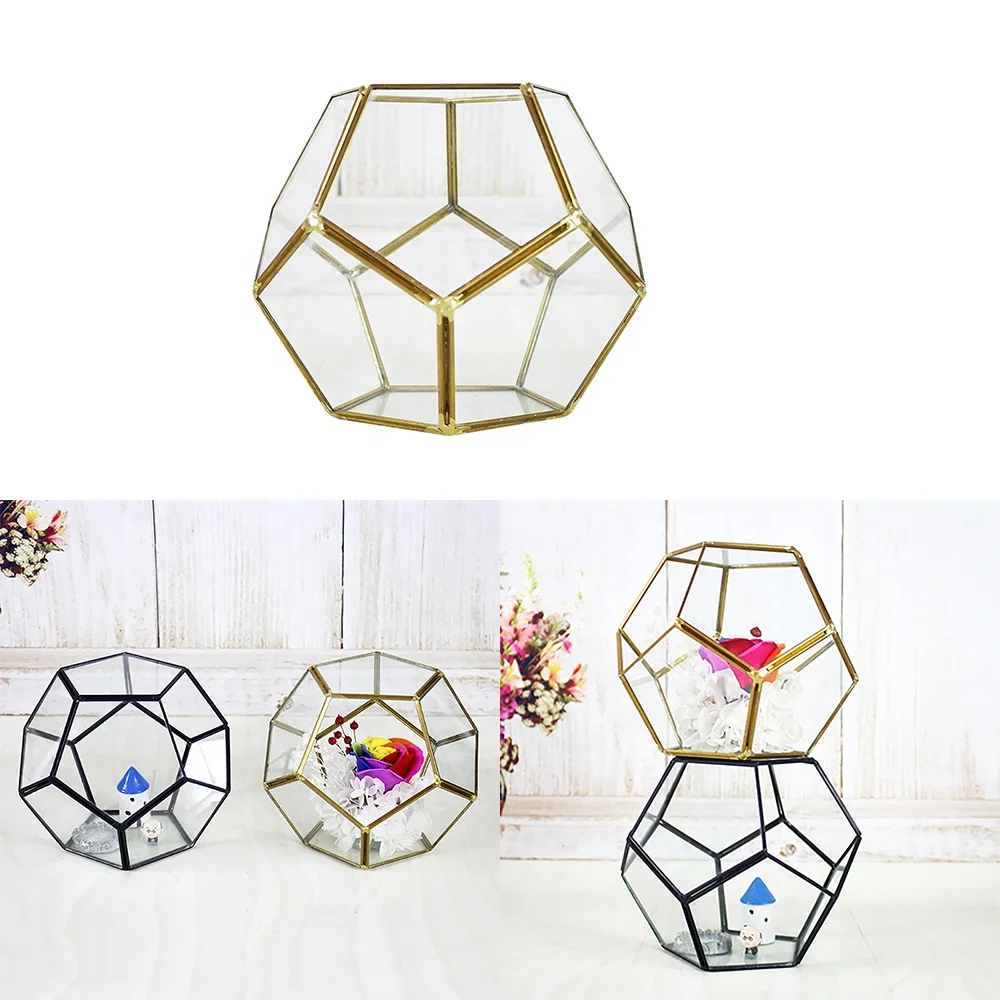 Beautifully designed geometric truncated cube terrarium for Plants grow