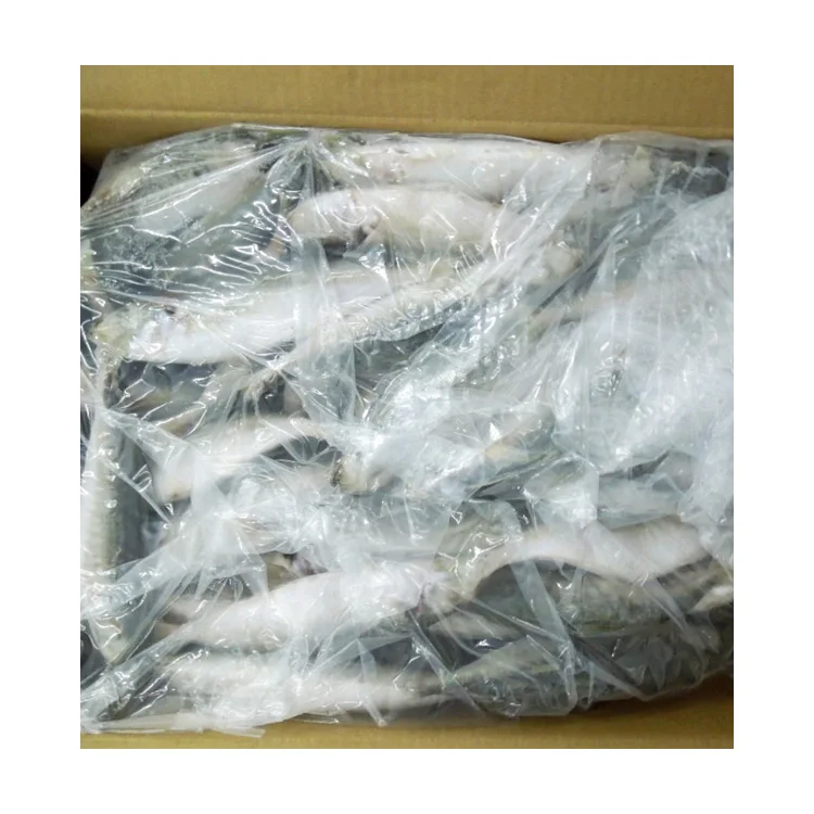 Hot Sale for Southeast Asia Frozen Round Scad Mackerel Fish with Stable Supply and Competitive Price