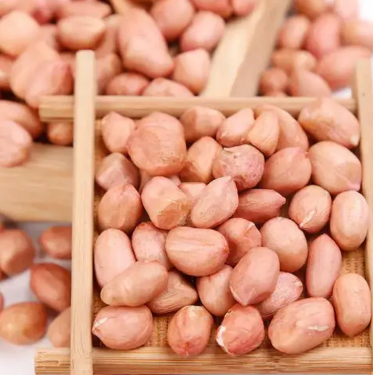 Wholesale Bulk raw pure sun dried peanuts prices high quality large and plump raw peanuts for sale