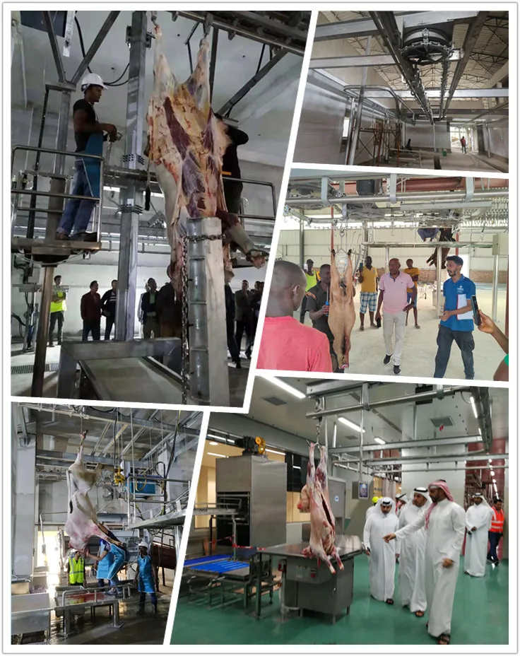 halal_meat_slaughter_process_camel_with_quality_abattoir_machine