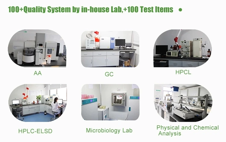 
CAS 9014-63-5 Xylan Powder Price Xylan From Beechwood 