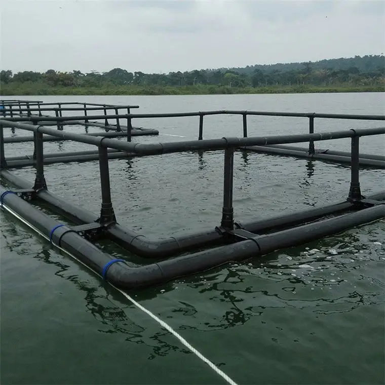Plastic HDPE square fish cage floating in freshwater