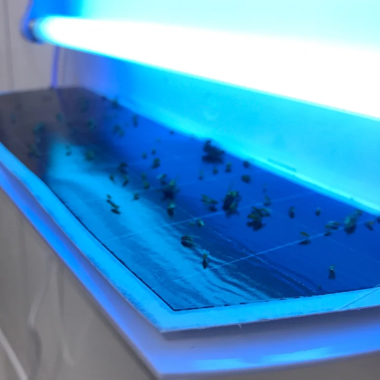 black color high quality fly trap paper sticky glue board pest trap for restaurant