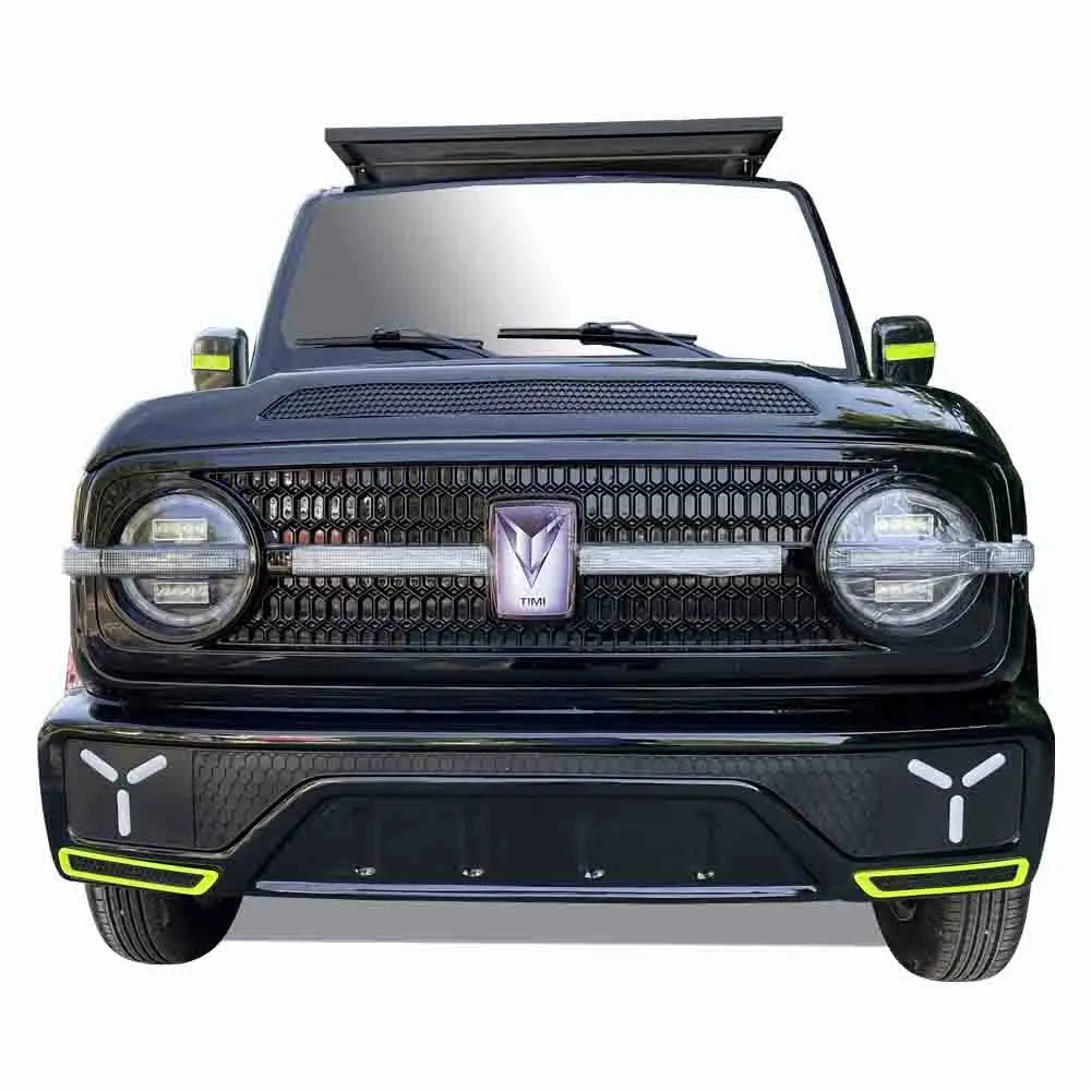 New Energy Low Speed tank 300 Off-road Vehicle