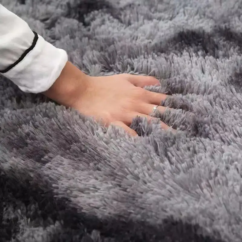  Area rug and Fluffy Carpet Rugs living room floor