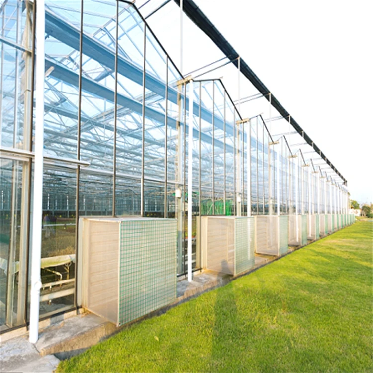 Commercial & Agricultural Greenhouses for Planting Vegetables & Tomatoes Multi-Span Plastic Film & Steel Cover Farm Garden Use