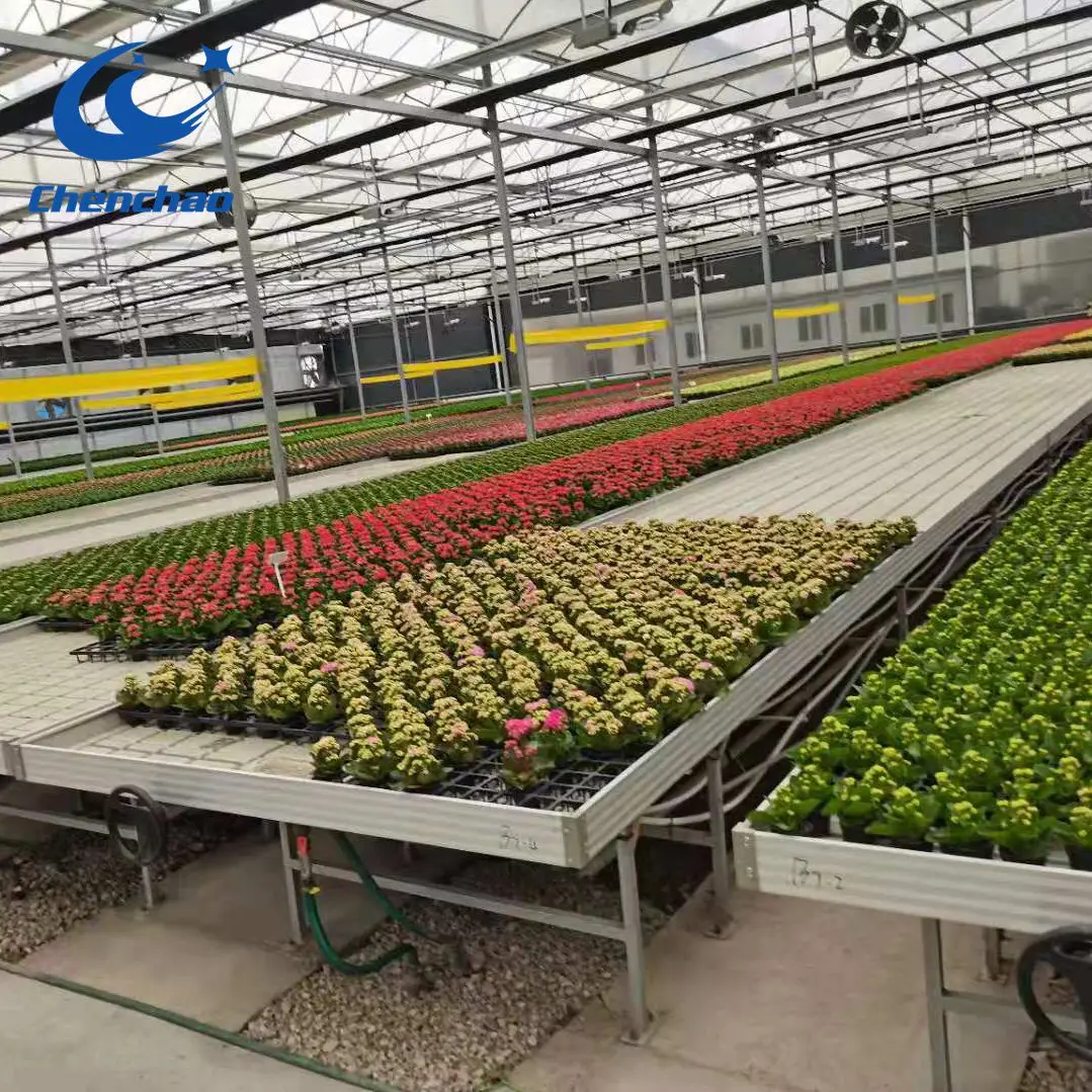 Ebb and Flow Rolling Benches/Hydroponic Growing Systems