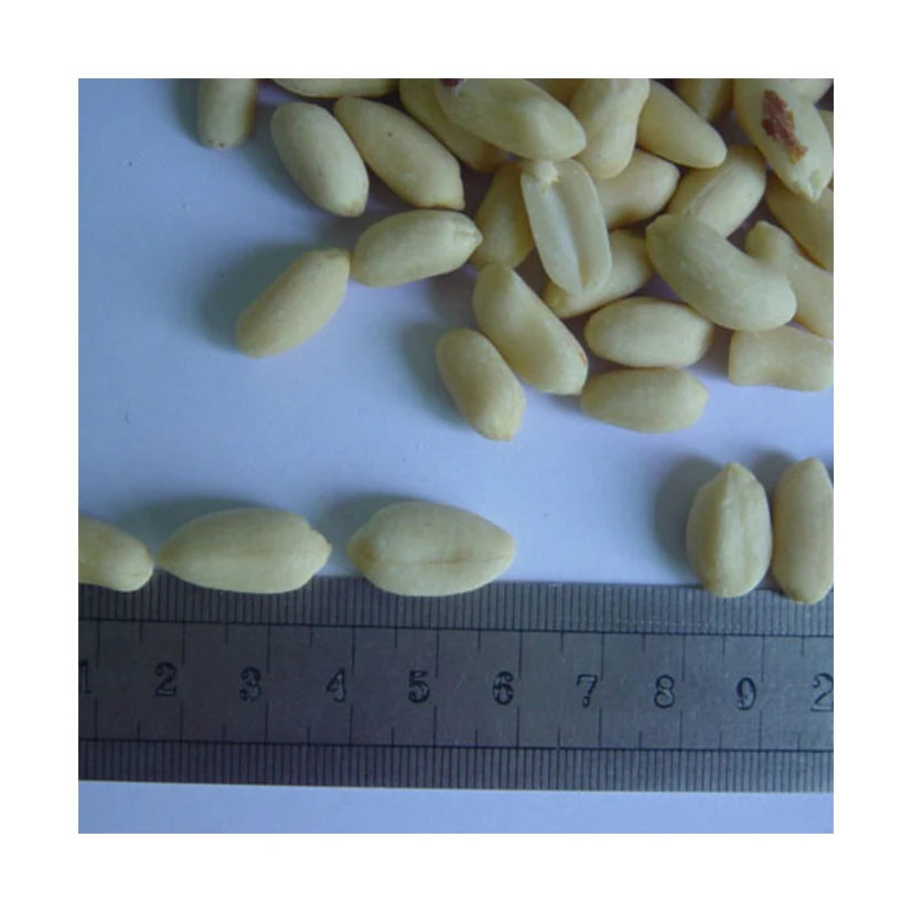 China Wholesale Hot Origin Dried Peeled Skinless Peanut Blanched Groundnut Kernel