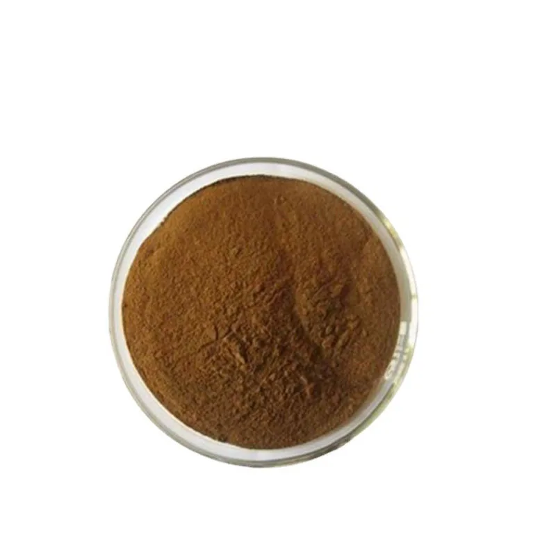 Ruscogenin 20% High Quality ruscus aculeatus root extract powder Best Price Butchers Broom Extract powder