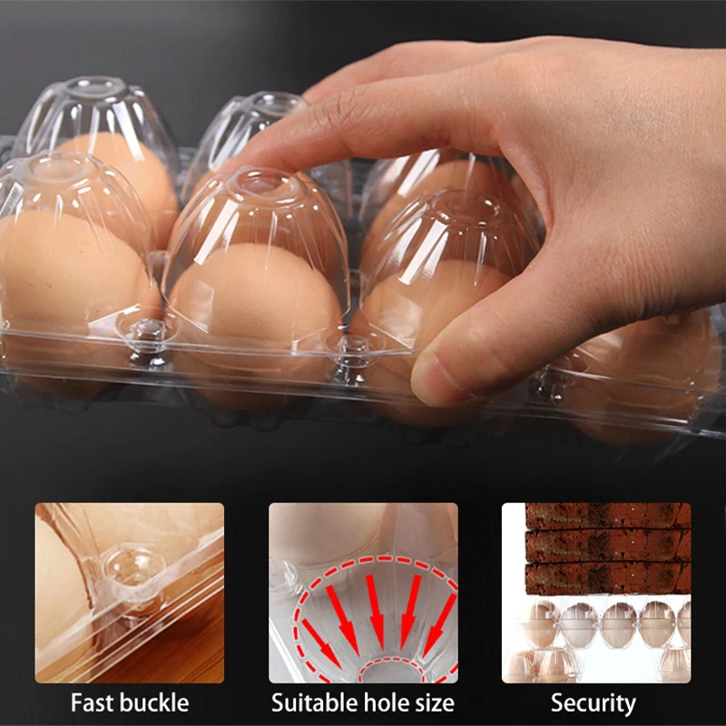 Recyclable Plastic Egg Tray 12 Cell 3x4 Reusable Disposable Egg Tray Egg Packing Trays Supply
