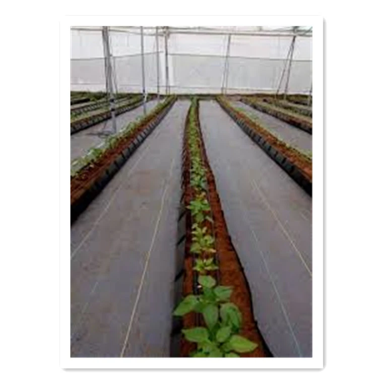 100 PP plastic mulch anti-uv weedmat barrier weedcontrol fabric